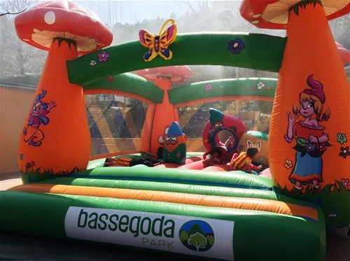 bassegoda-park-albany-rooma