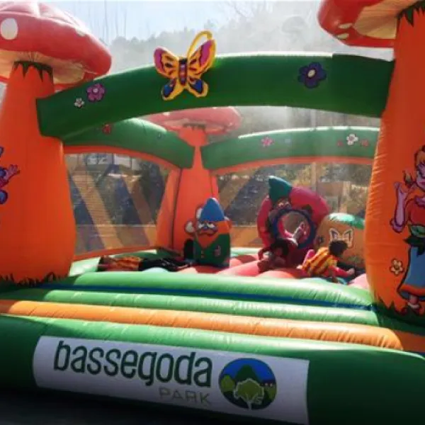 bassegoda-park-albany-rooma