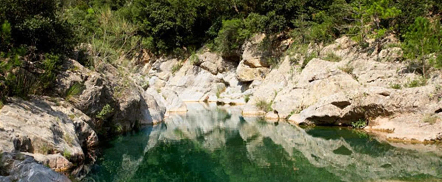 Bassegoda Park