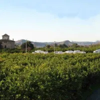 camper-park-huerta-de-murcia-los-ramos-g7xqh