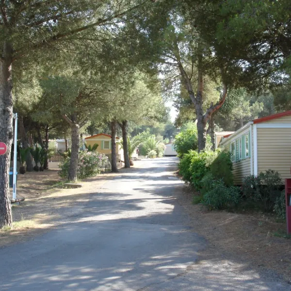camping-domaine-de-la-pinede-agde-ilhbw