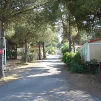 camping-domaine-de-la-pinede-agde-ilhbw