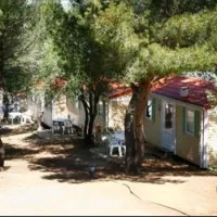 Camping Domaine De La Pinede