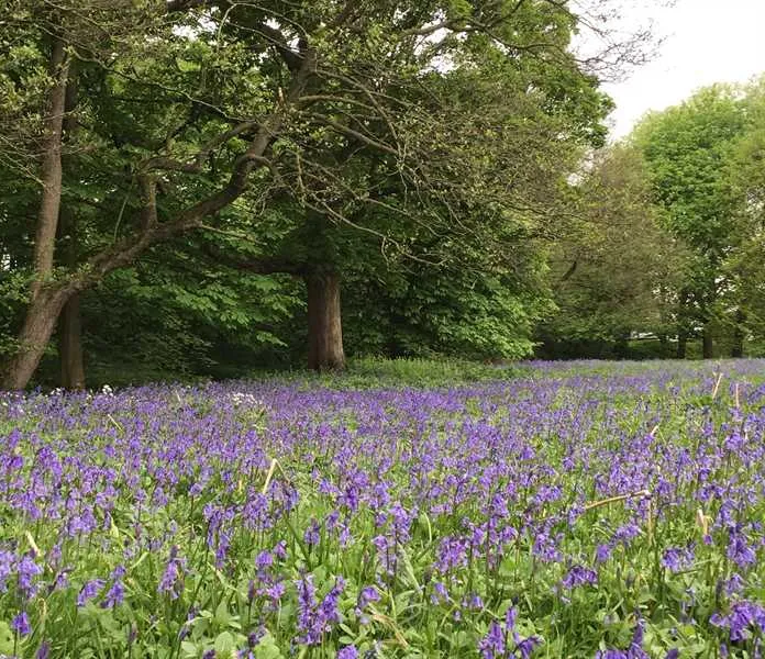 sleningford-watermill-caravan-camping-ripon-aoswi