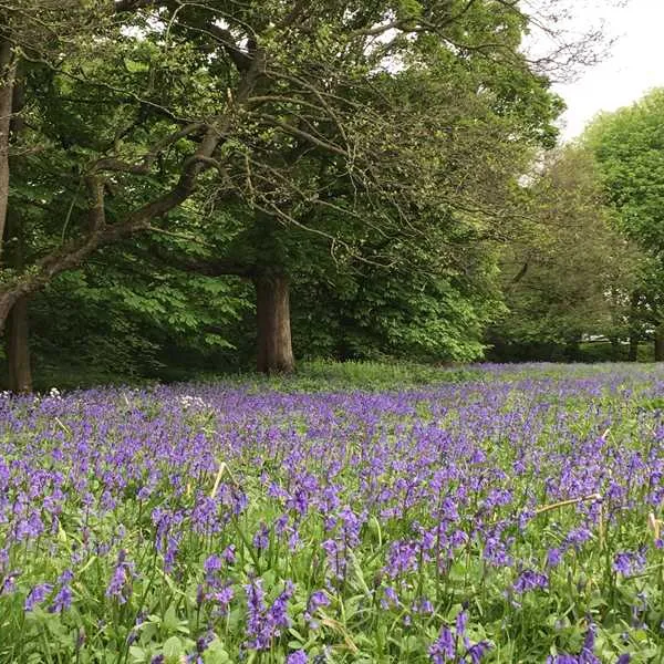 sleningford-watermill-caravan-camping-ripon-aoswi