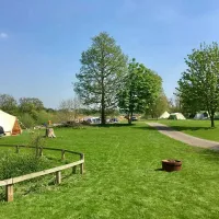 sleningford-watermill-caravan-camping-ripon-zjrhj