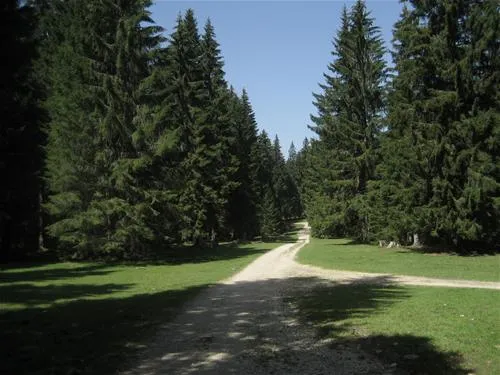camping-les-cerneux-les-breuleux-tru2a