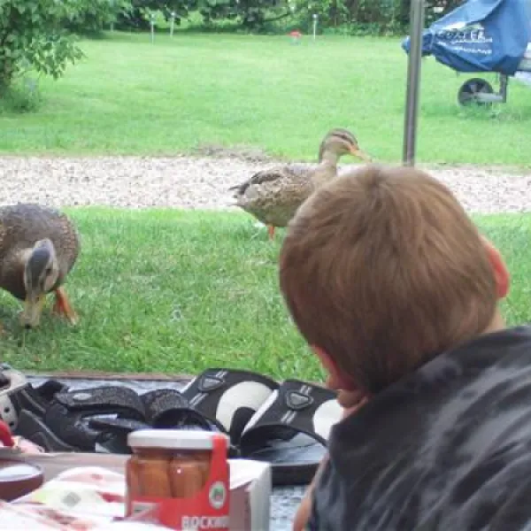 Camping De Grienduil