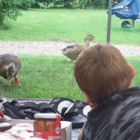 Camping De Grienduil