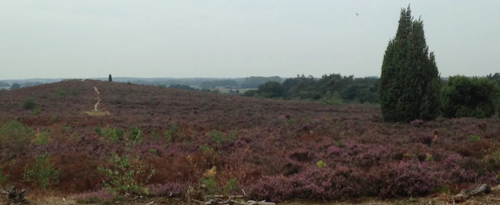 Boerderijcamping De Regge Vallei
