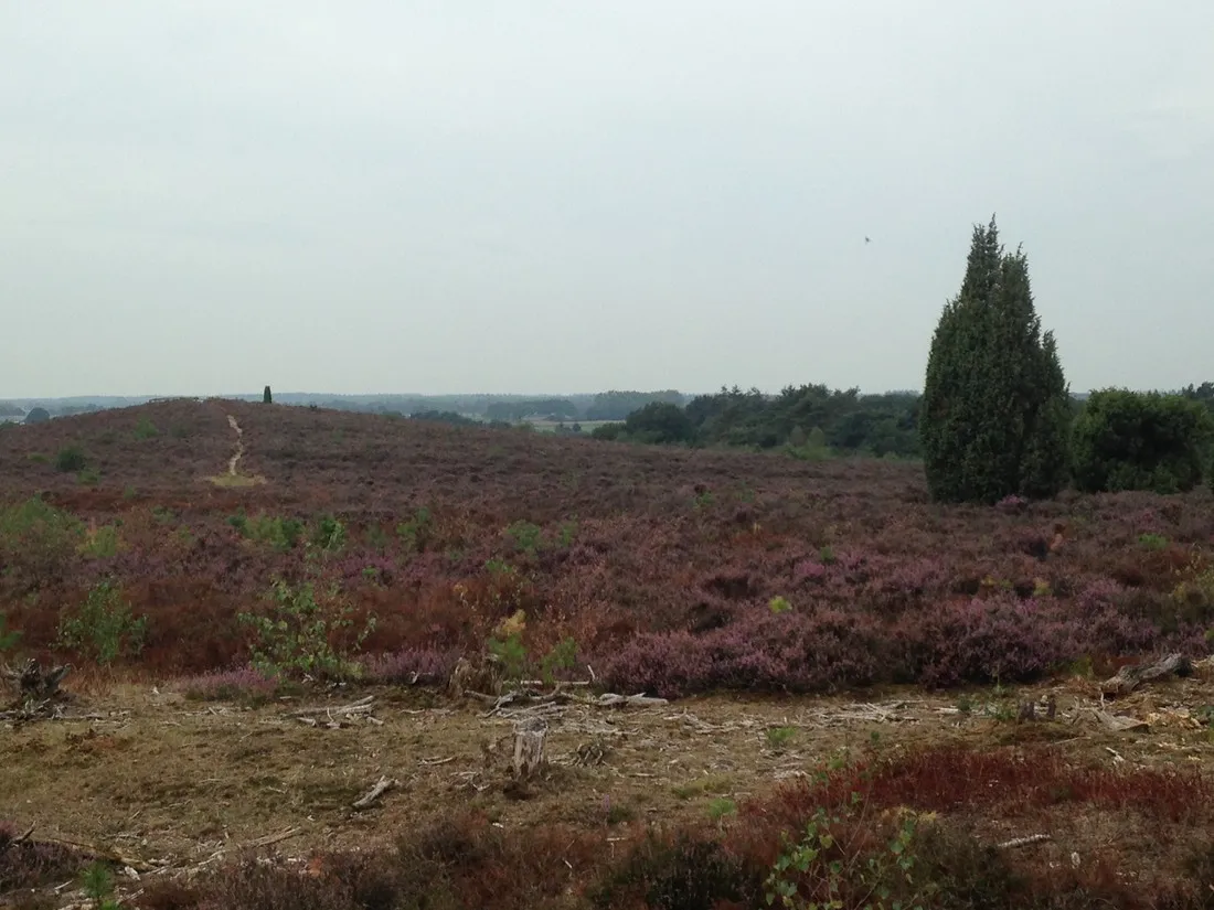 boerderijcamping-de-regge-vallei-den-ham-ov-ueqyo