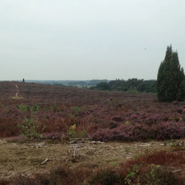 boerderijcamping-de-regge-vallei-den-ham-ov-ueqyo