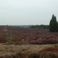 boerderijcamping-de-regge-vallei-den-ham-ov-ueqyo