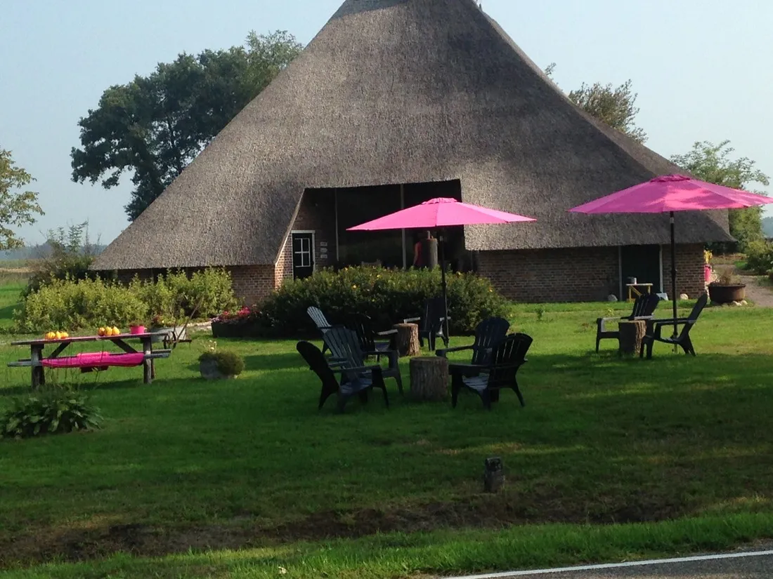 boerderijcamping-de-regge-vallei-den-ham-ov-ysooe