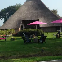 boerderijcamping-de-regge-vallei-den-ham-ov-ysooe