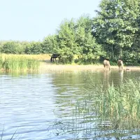 camping-de-veenkuil-bant-2pmyx