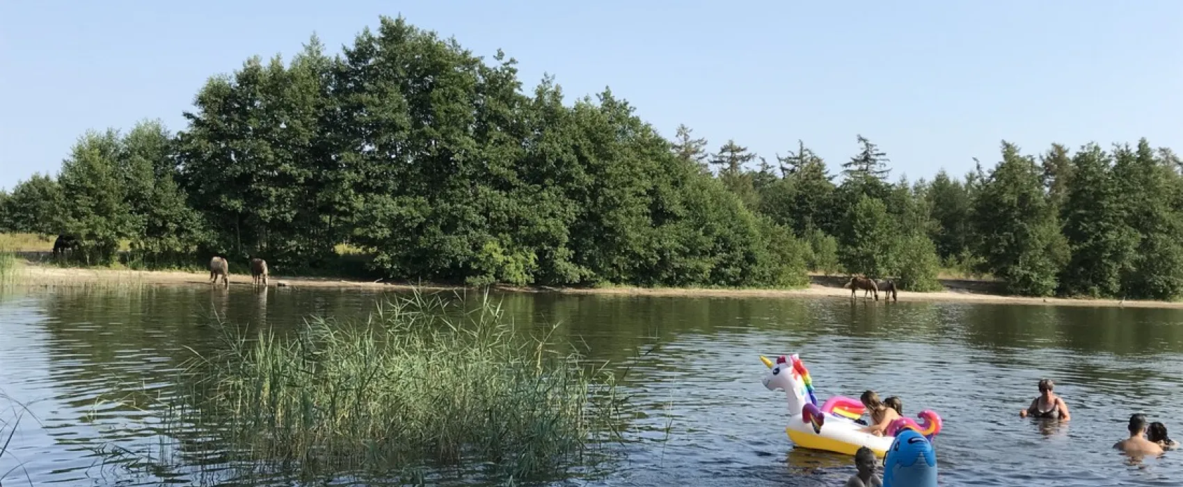 Camping De Veenkuil