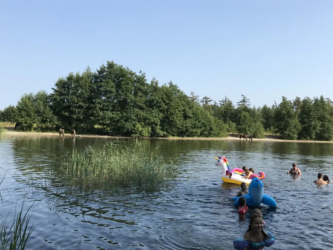 camping-de-veenkuil-bant-5ijmt