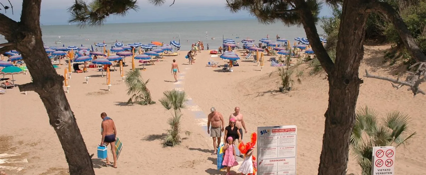 Campeggio Pino Mare