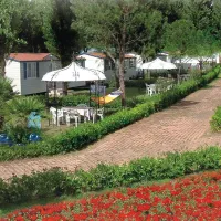 Campeggio Pino Mare