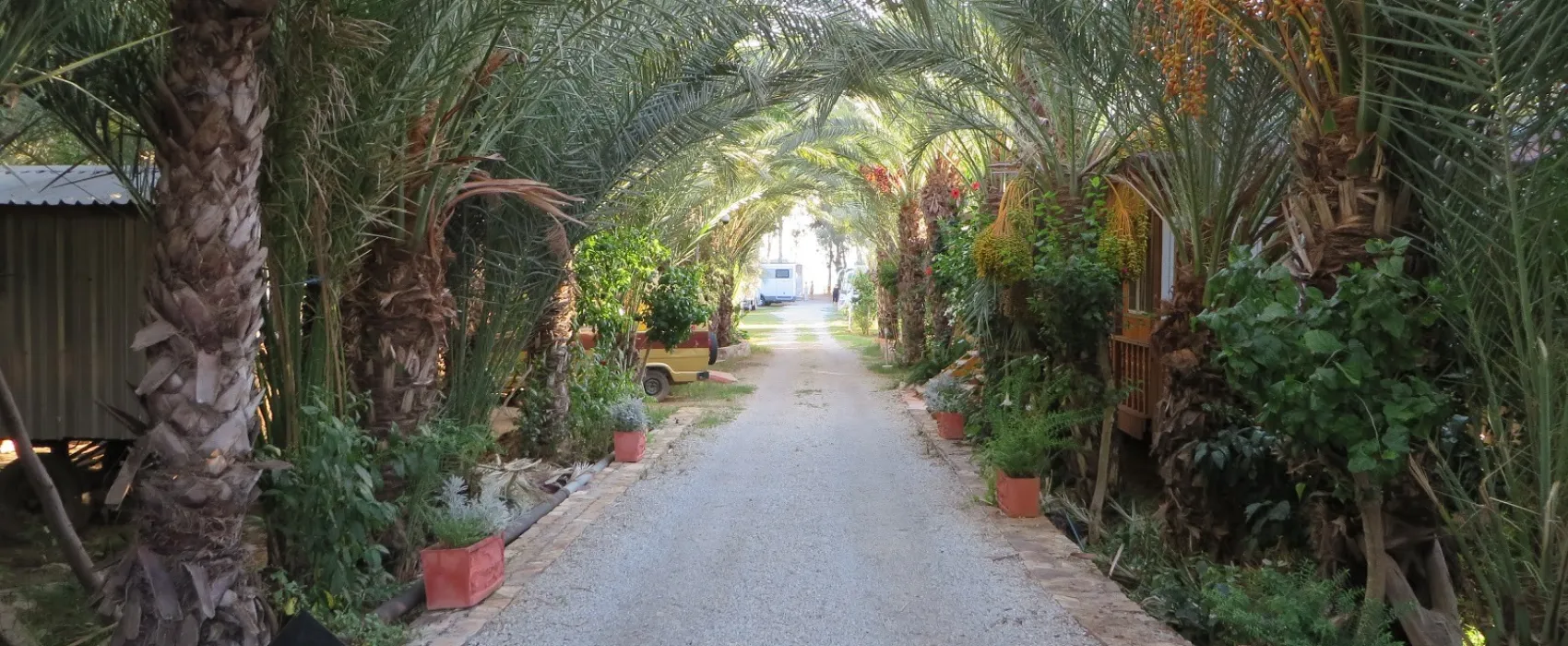 Paradies Camping