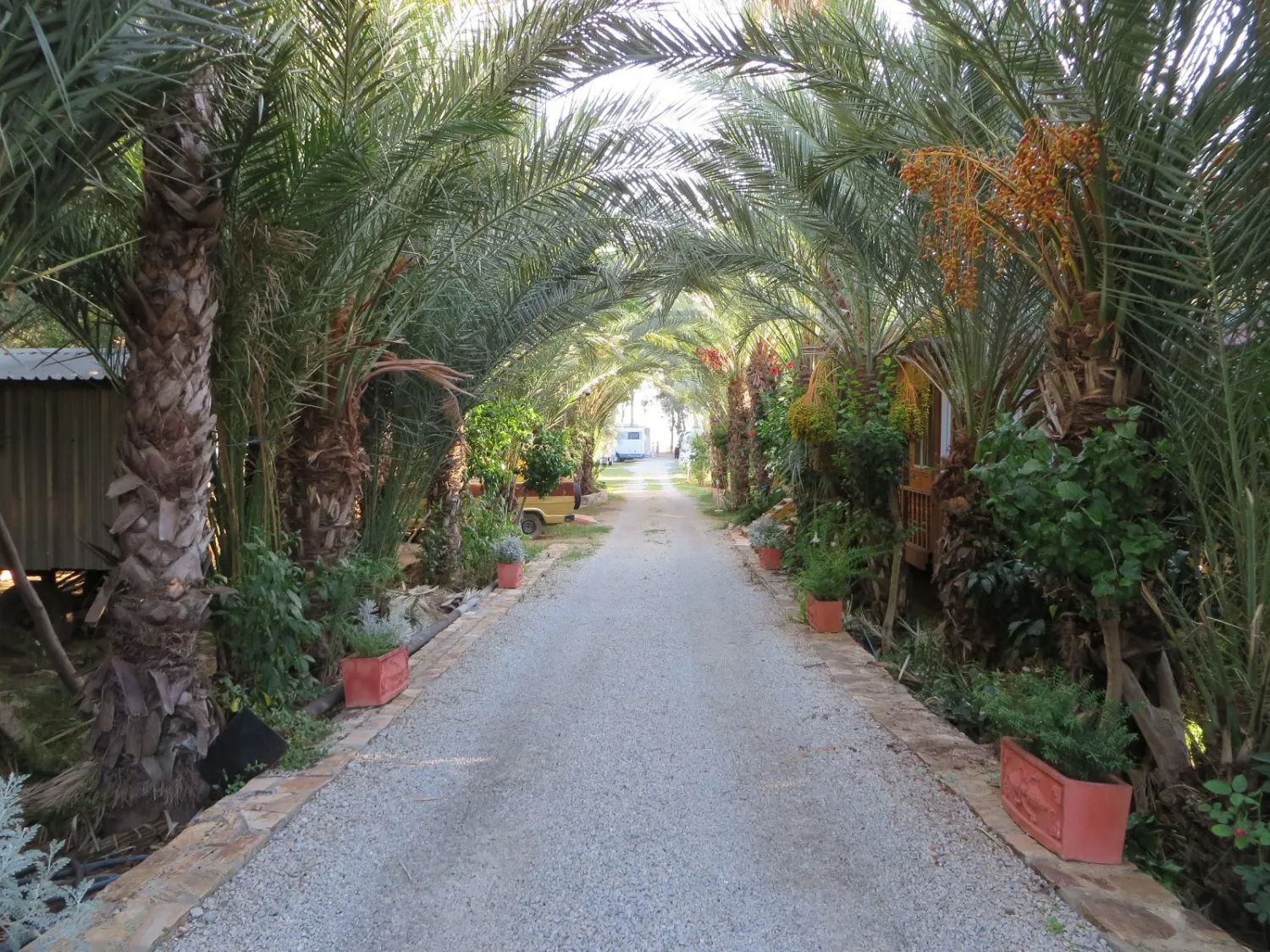paradies-camping-anamur-ek4wj