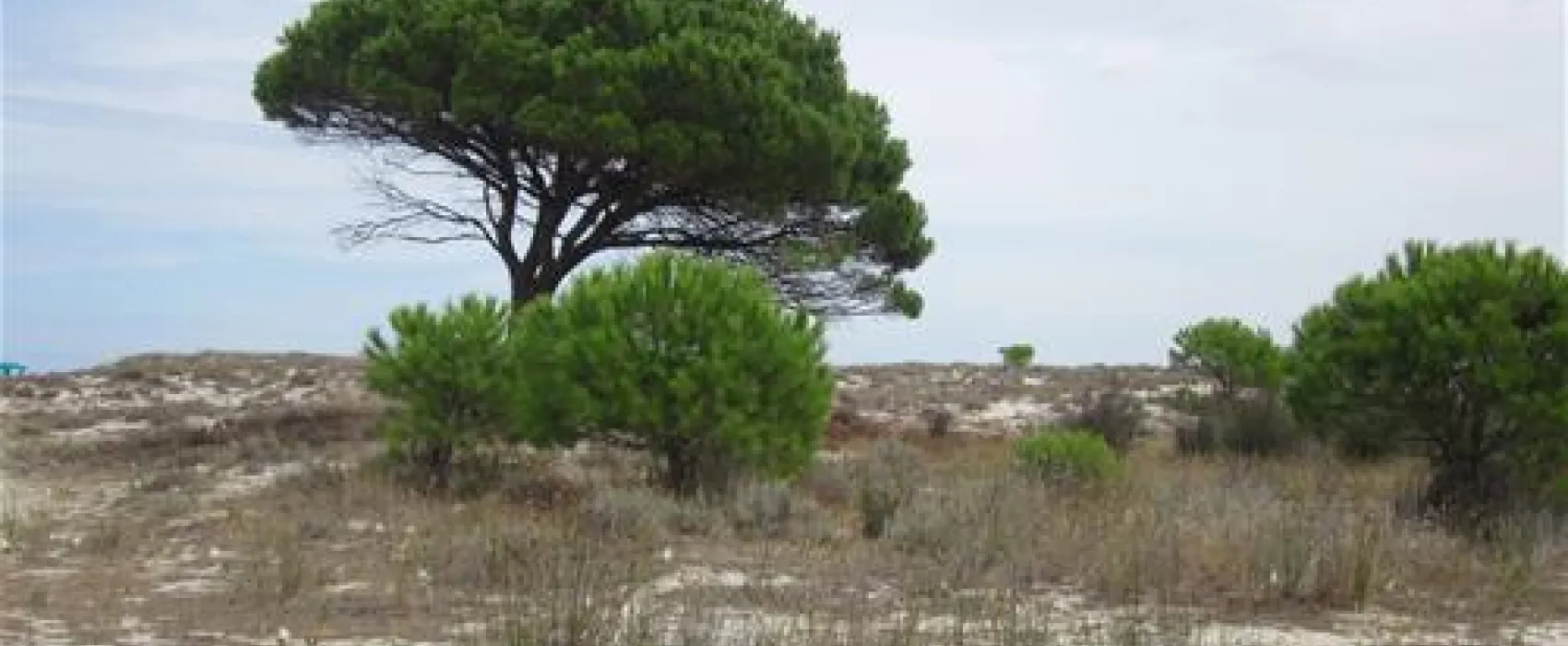 Camping Pedra - Cupa