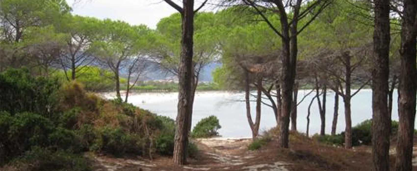 Camping Pedra - Cupa