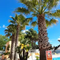 camping-les-mimosas-agde-fdixv