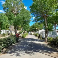 camping-les-mimosas-agde-jopm6