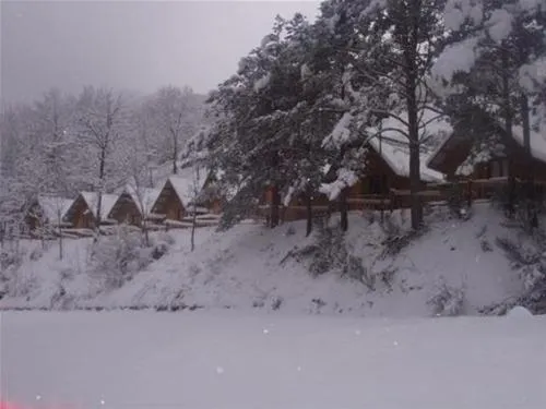 camping-vall-de-ribes-ribes-de-freser-ozuuf