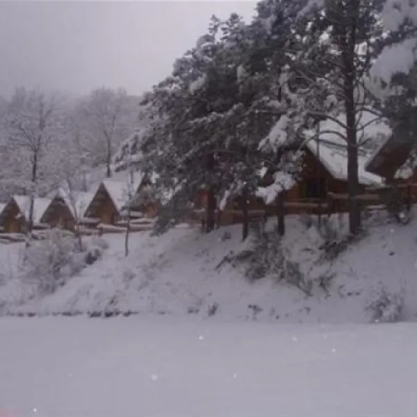camping-vall-de-ribes-ribes-de-freser-ozuuf