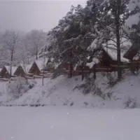 camping-vall-de-ribes-ribes-de-freser-ozuuf
