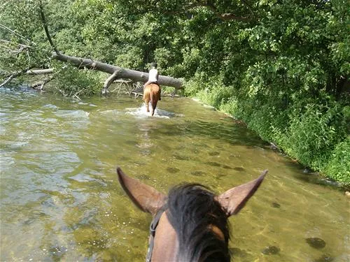 camping-inter-nos-zocieniec-hlpu4