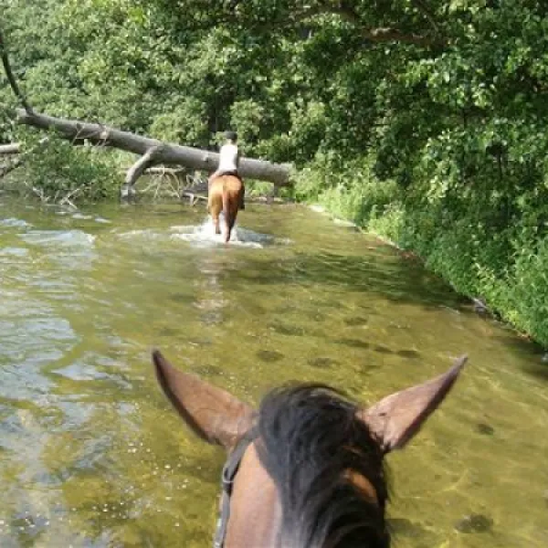 camping-inter-nos-zocieniec-hlpu4