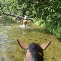 camping-inter-nos-zocieniec-hlpu4