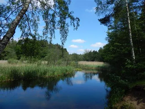 camping-inter-nos-zocieniec-siinj