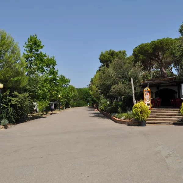 camping-castell-park-palams-avqul