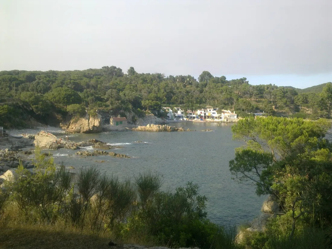 camping-castell-park-palams-jnqfx