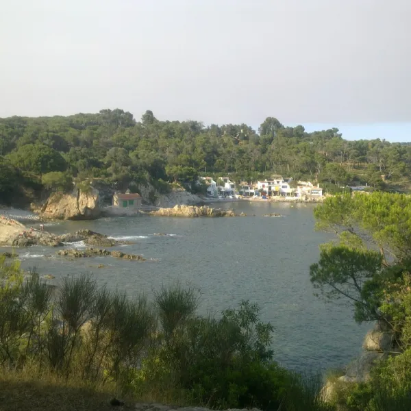 camping-castell-park-palams-jnqfx