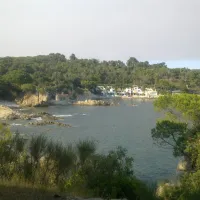 camping-castell-park-palams-jnqfx