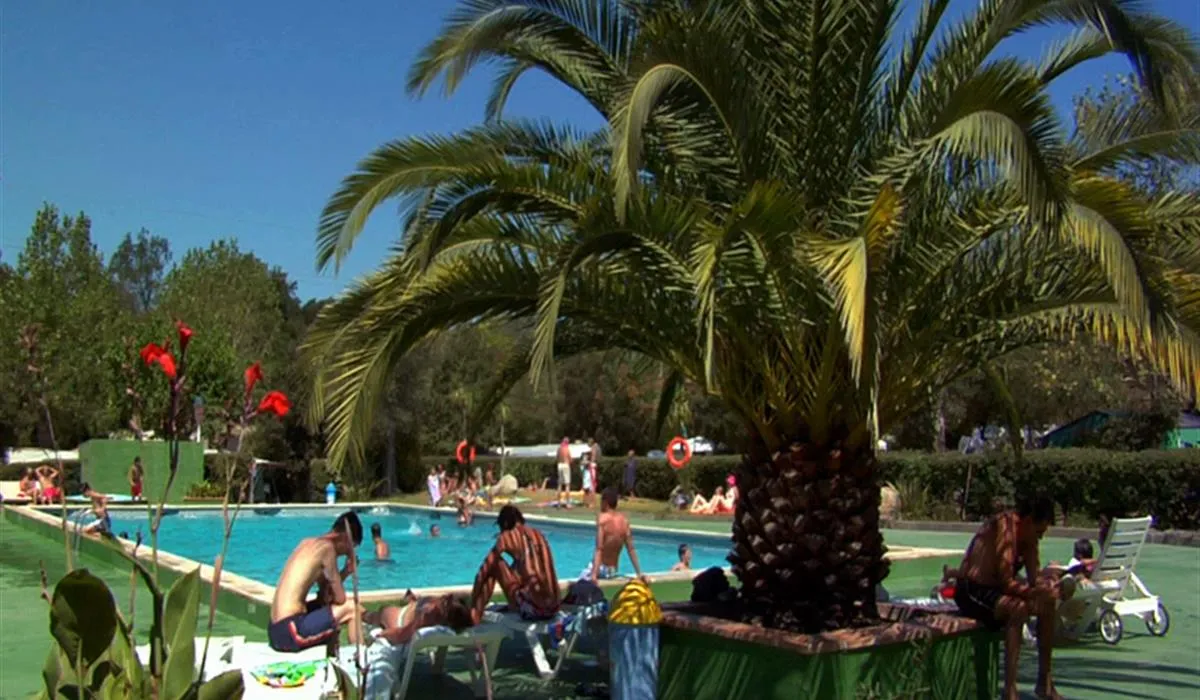 camping-castell-park-palams-k7r7r