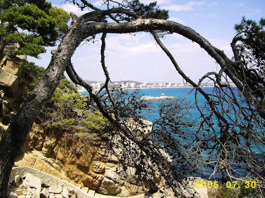 camping-castell-park-palams-osbpr