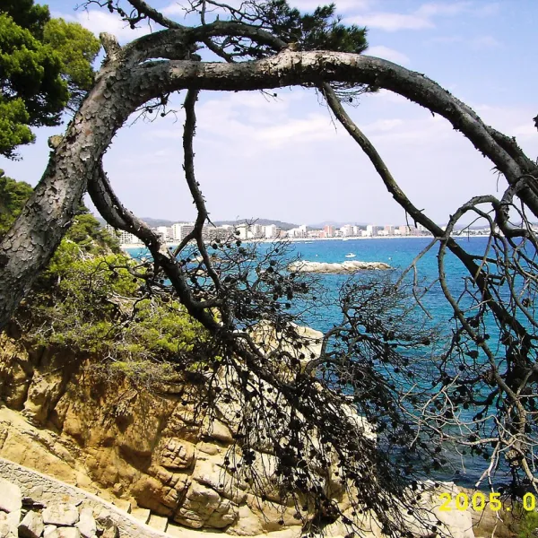 camping-castell-park-palams-osbpr
