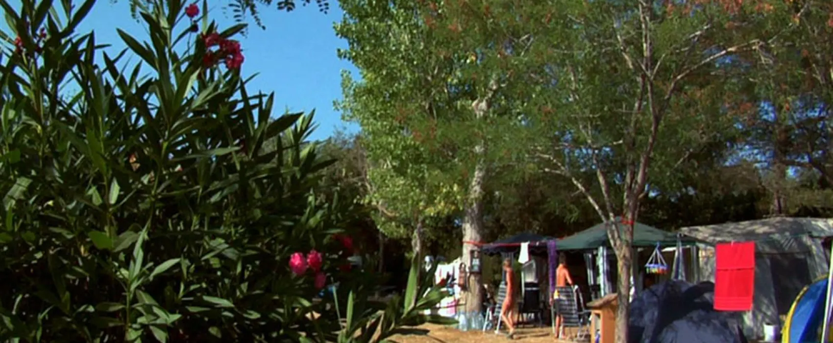 Camping Castell Park
