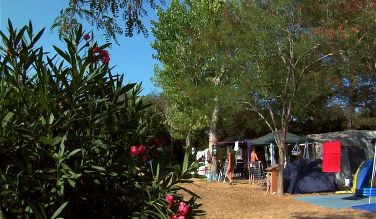 camping-castell-park-palams-zrget