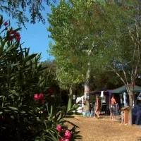 camping-castell-park-palams-zrget