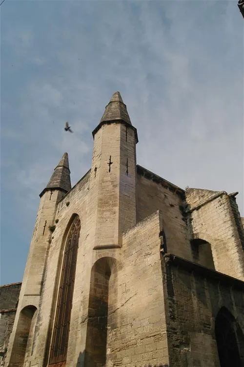 vivacamp-la-laune-villeneuve-les-avignon-bgjpt