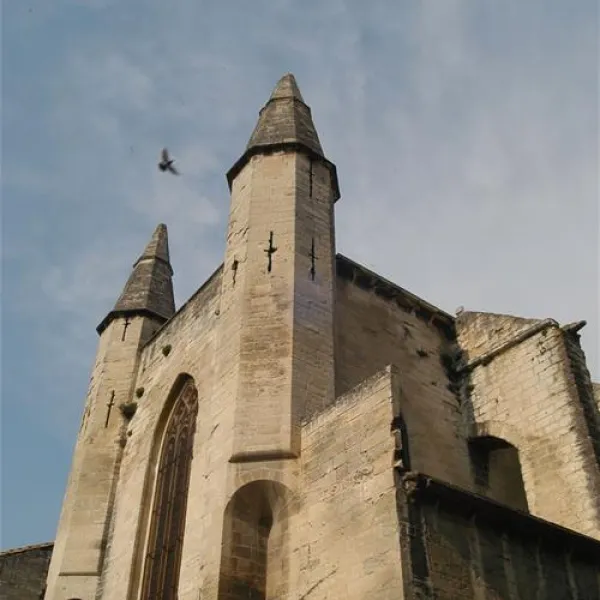 vivacamp-la-laune-villeneuve-les-avignon-bgjpt