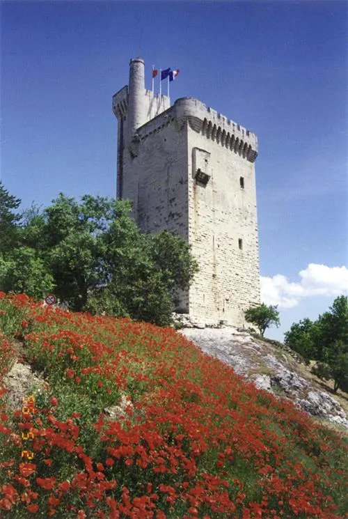 vivacamp-la-laune-villeneuve-les-avignon-q7lfo